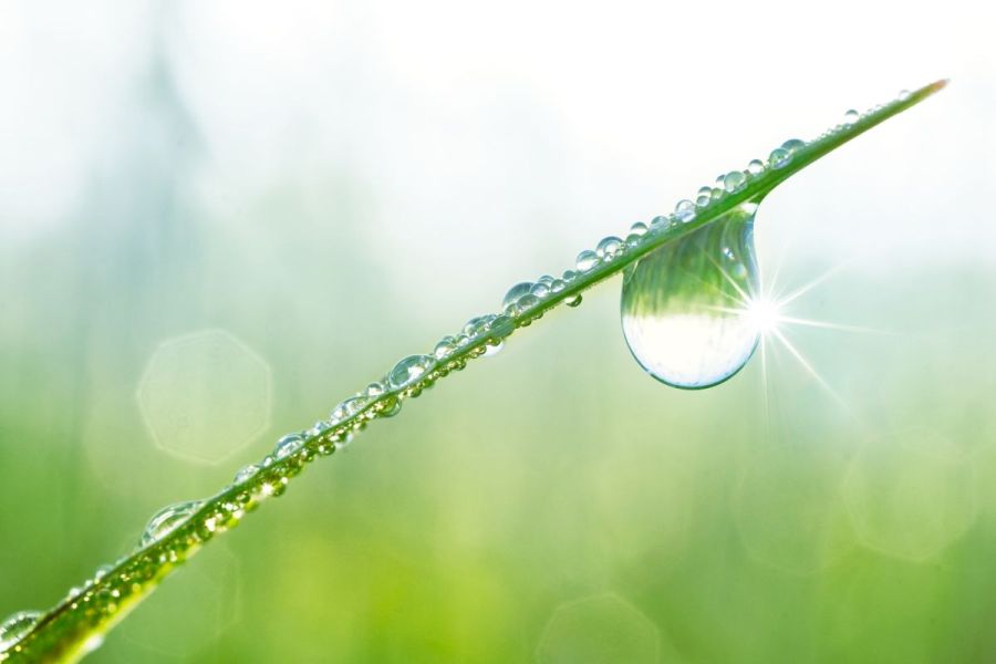Biological product adoption: Overcoming biological barriers