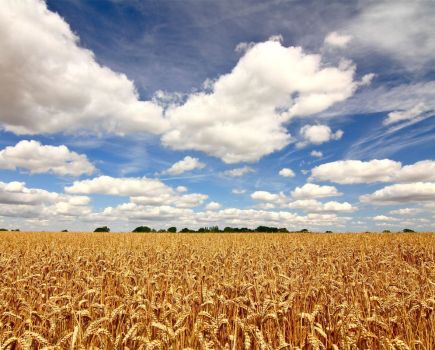 Productivity matters: Farming for tomorrow - why productivity matters