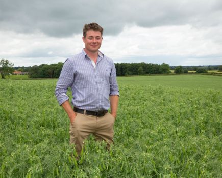 The story untold: what happens when an agronomist retires?