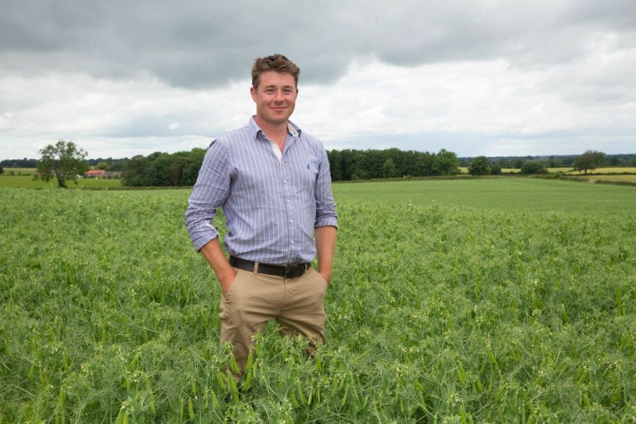 The story untold: what happens when an agronomist retires?