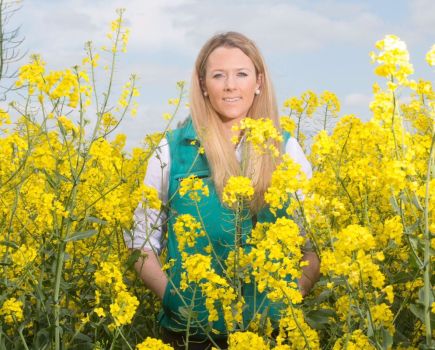 New OSR Varieties Bring Vigour and Resilience Despite Falling Acreage