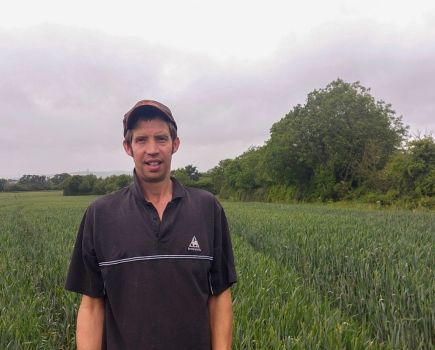 How Growing Four Wheat Varieties Helps Balance Silage, Sprays and Harvest on a Devon Farm
