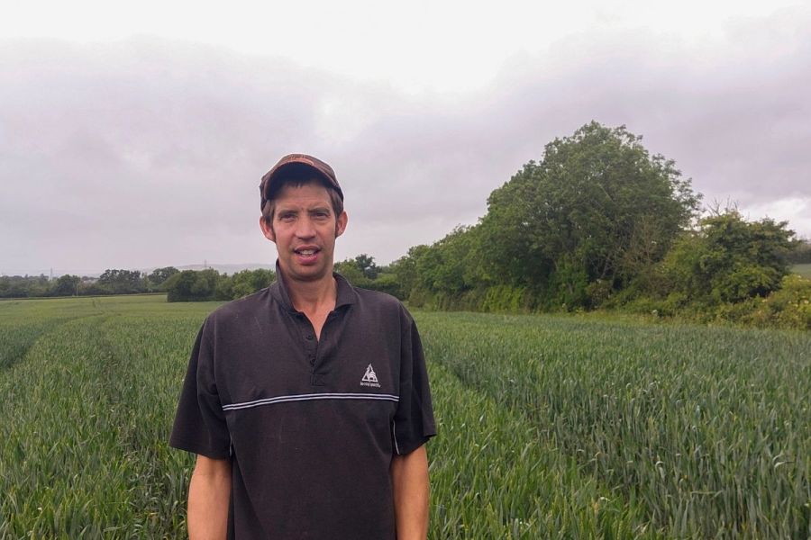 How Growing Four Wheat Varieties Helps Balance Silage, Sprays and Harvest on a Devon Farm