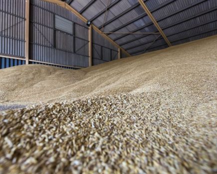 Post-harvest solutions showcased at Cereals