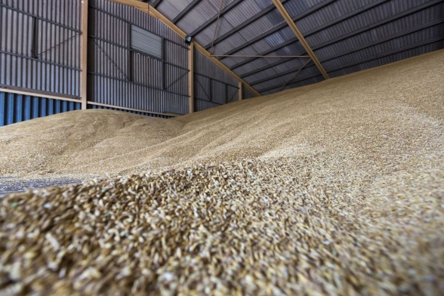 Post-harvest solutions showcased at Cereals