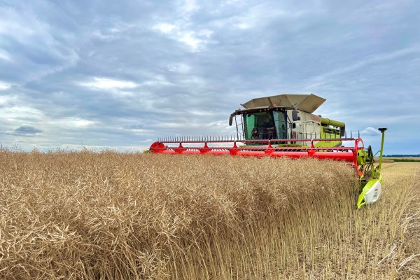 An image of a combine harvester taking in a crop of oilseed rape, set against a cloudy sky.
