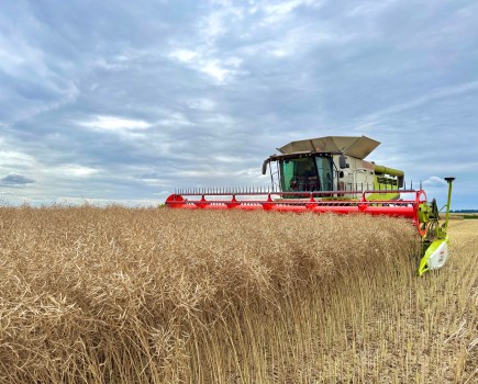 An image of a combine harvester taking in a crop of oilseed rape, set against a cloudy sky.