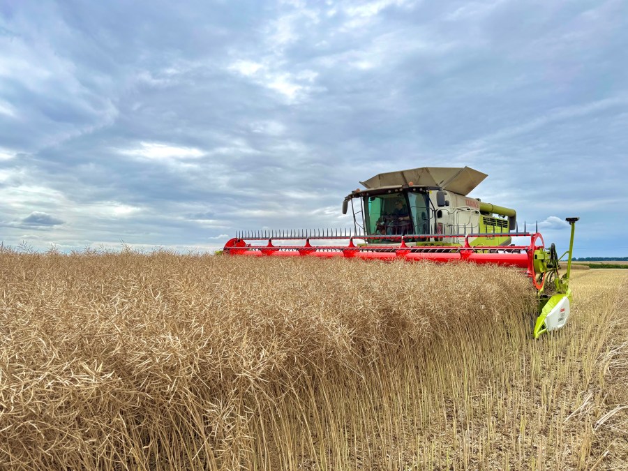 An image of a combine harvester taking in a crop of oilseed rape, set against a cloudy sky.