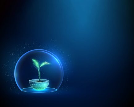 Programmable Plant Gene Silencing