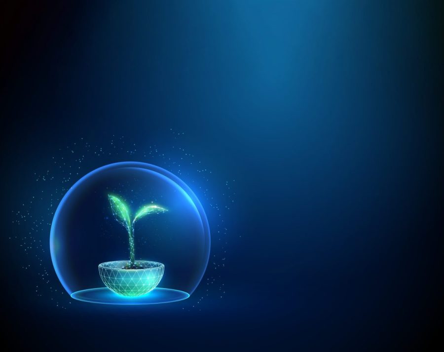 Programmable Plant Gene Silencing
