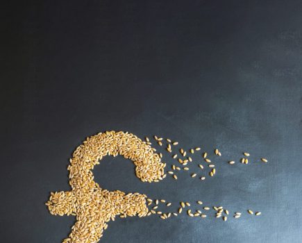 Agrii UK Farm Business Strategy
