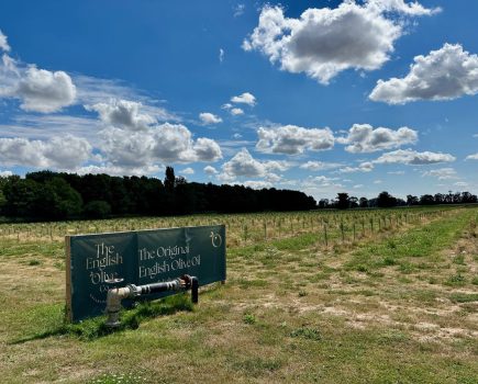 Lincolnshire grower is diversifying into producing olives