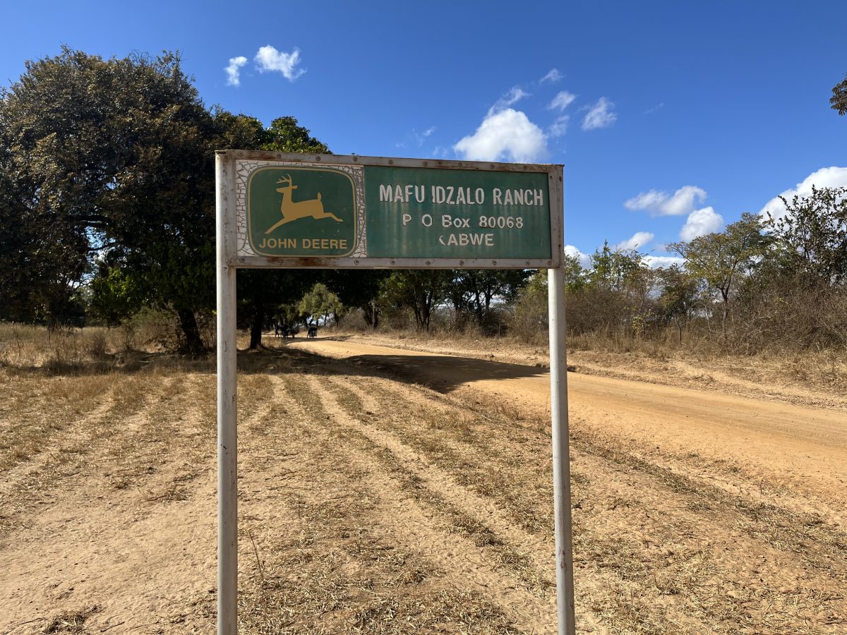 Biologicals bring balance on Zambian farm