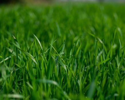 Herbicide Label Changes