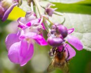 Circular Farm Economy