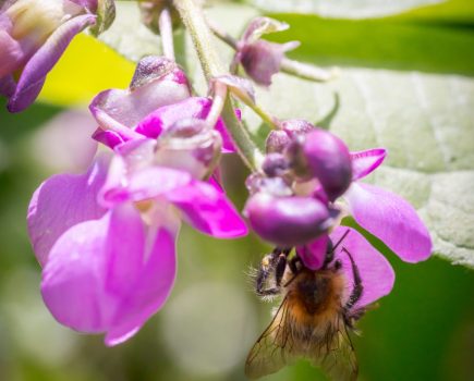 Circular Farm Economy