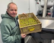 Image of grower David Hoyles with his first olive harvest - pictured in a room with oil pressing equipment.