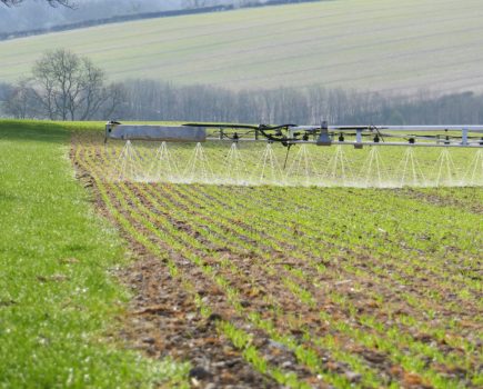 Nitrogen use efficiency in agriculture
