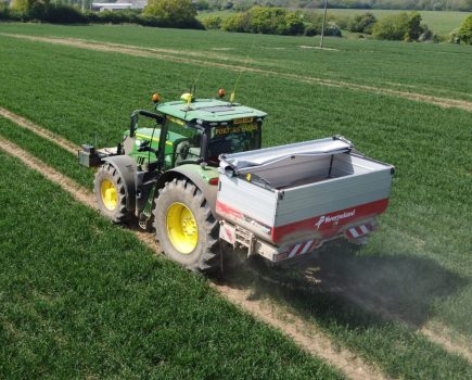 phosphorus availability