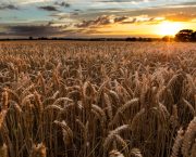 Supply chain sustainability schemes