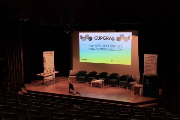 Nitrogen release from cover crops