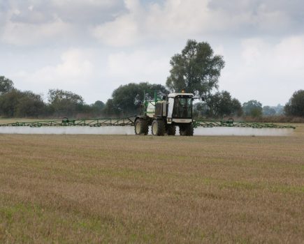 maximising glyphosate performance