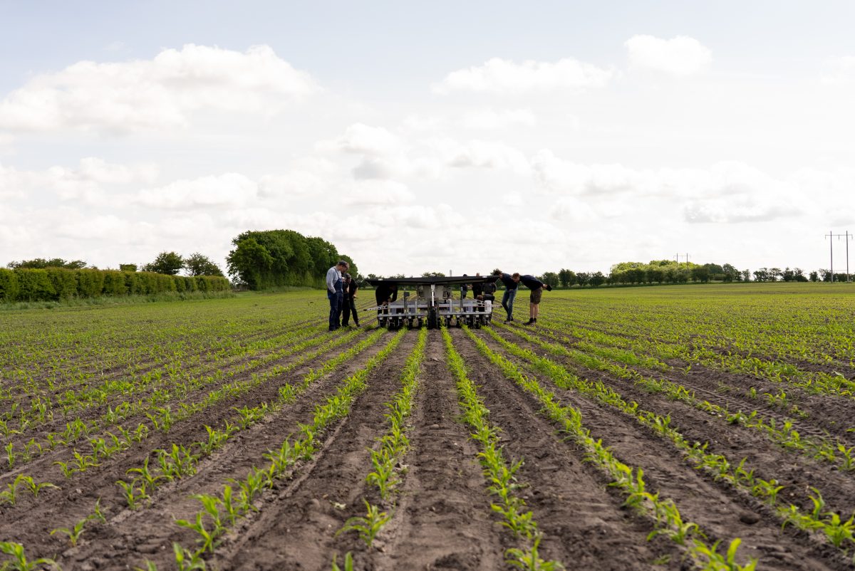 Farming by algorithm