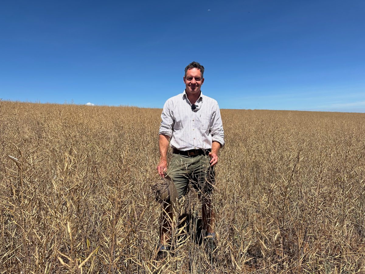 How Kenyan farmers are collaborating to compete