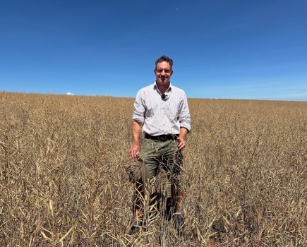 building resilient farming systems