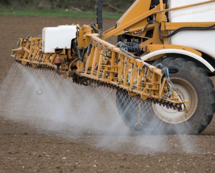 Improving sugar beet herbicide spray application