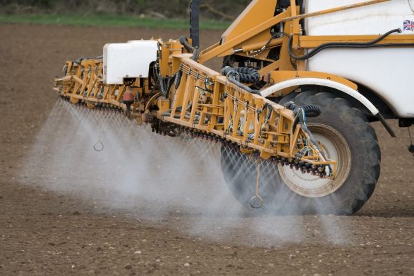 Improving sugar beet herbicide spray application