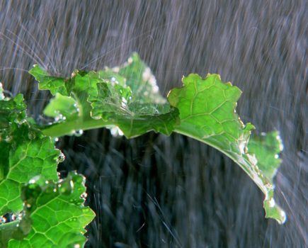 Silsoe Spray Applications Unit closure