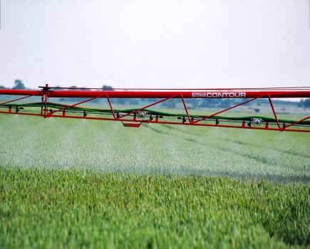 adjuvants