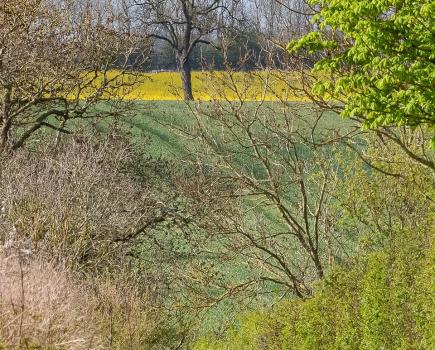 Nature Natters