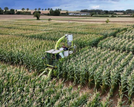 Biimore maize biostimulant trials