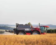cereal and oilseed rape varieties