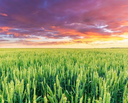 precision agriculture weather data