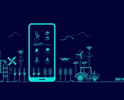Remote grain monitoring systems