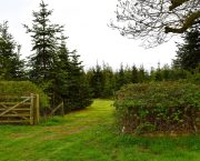 Farm diversification opportunities UK