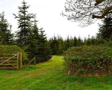 Farm diversification opportunities UK