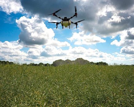 Drone application of oilseed rape pod sealant