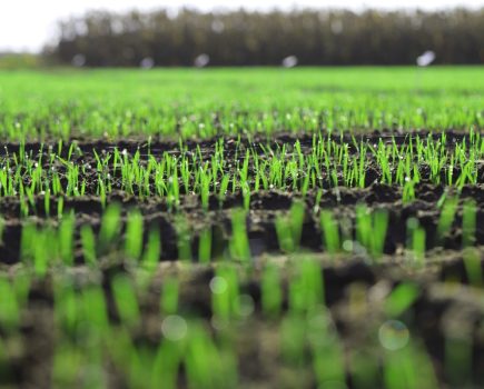 Biological and seed treatment technologies