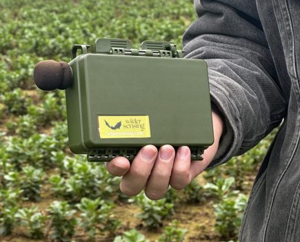 Bioacoustic biodiversity monitoring