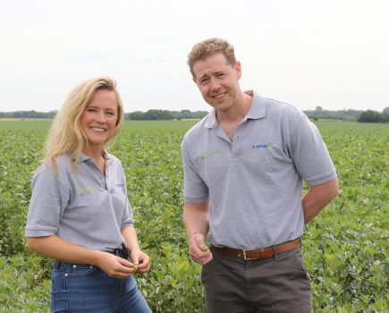 LimeX for soil pH optimisation