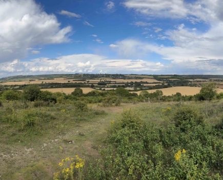 Chilterns Farmer Cluster