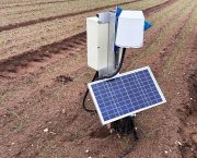 Water and nitrogen management