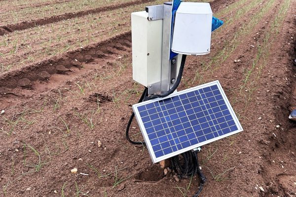 Water and nitrogen management