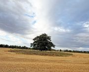 Integrated mixed farming system